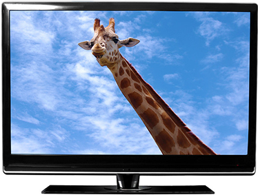 LED TV ۽ LCD ٽي وي ۾ ڪهڙو فرق آهي؟